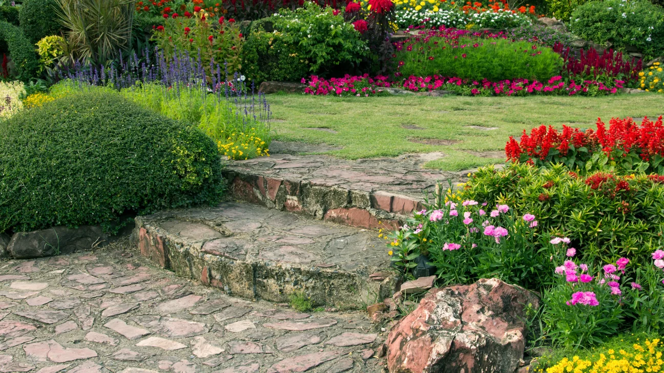 blog image (7)